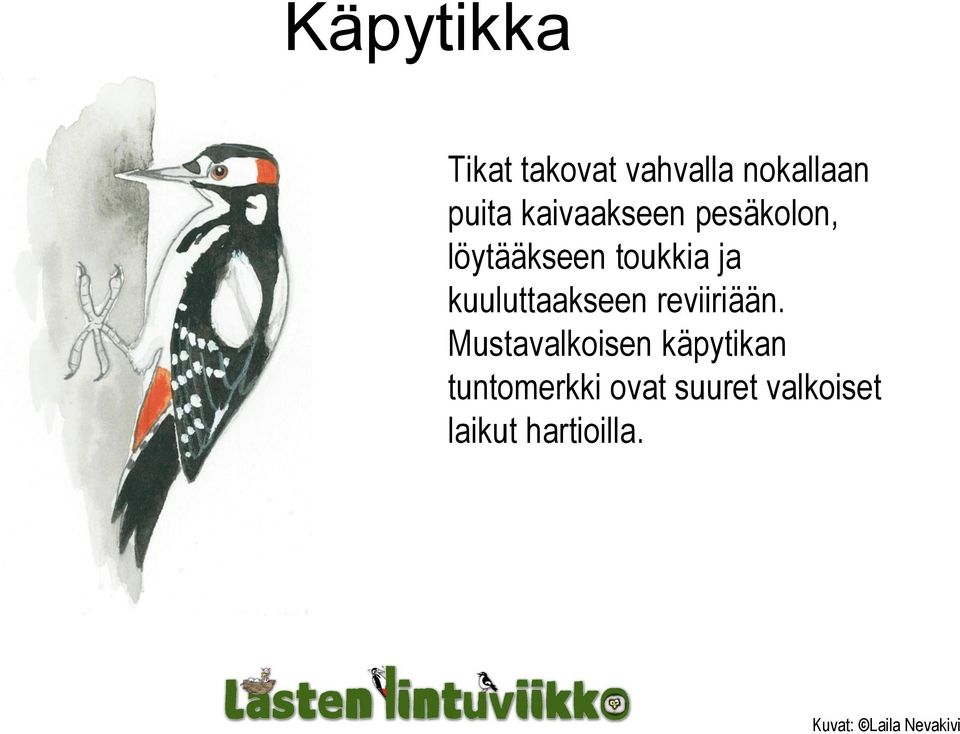 kuuluttaakseen reviiriään.