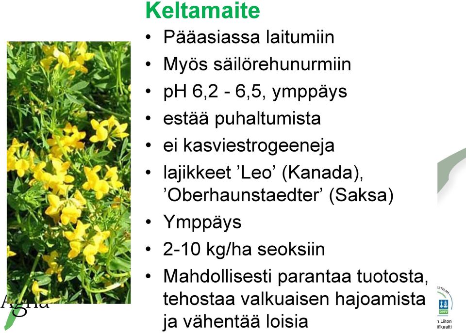 (Kanada), Oberhaunstaedter (Saksa) Ymppäys 2-10 kg/ha seoksiin