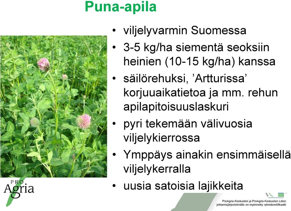 rehun apilapitoisuuslaskuri pyri tekemään välivuosia viljelykierrossa