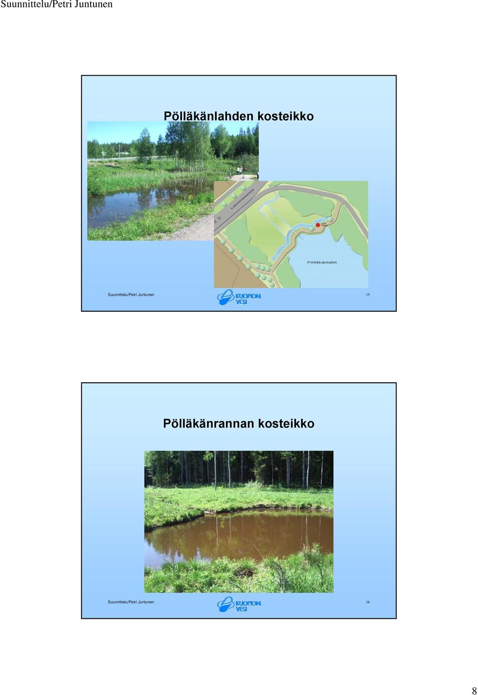 15 Pölläkänrannan kosteikko