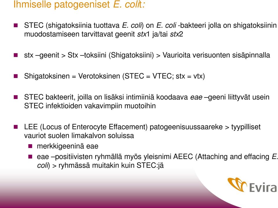 sisäpinnalla Shigatoksinen = Verotoksinen (STEC = VTEC; stx = vtx) STEC bakteerit, joilla on lisäksi intimiiniä koodaava eae geeni liittyvät usein STEC infektioiden