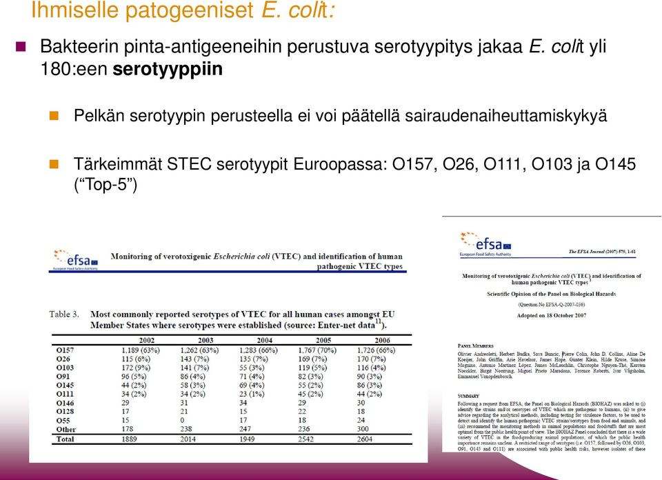 colit yli 180:een serotyyppiin Pelkän serotyypin perusteella ei voi