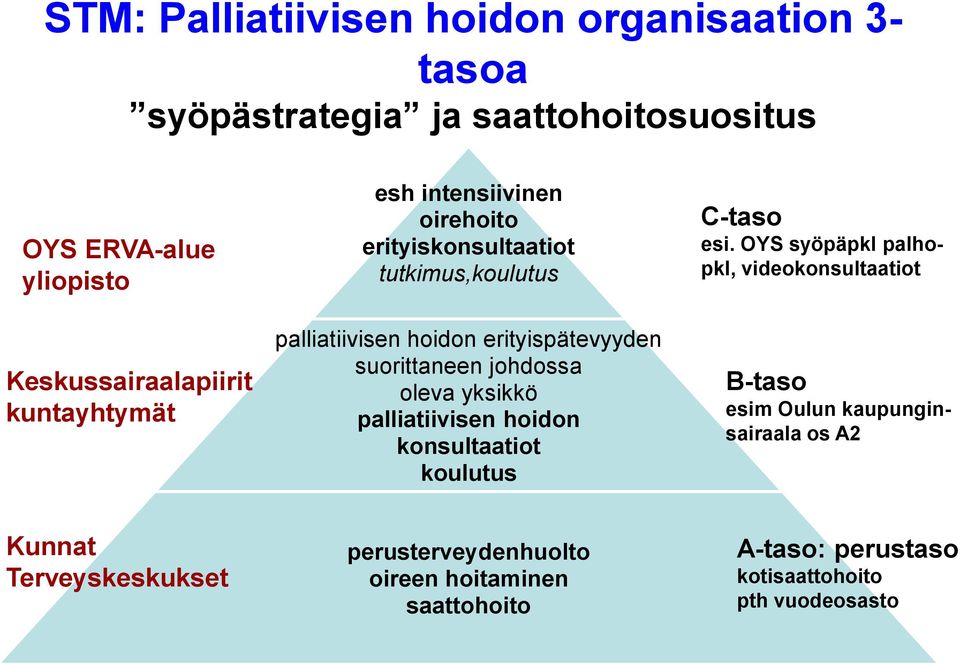 johdossa oleva yksikkö palliatiivisen hoidon konsultaatiot koulutus C-taso esi.