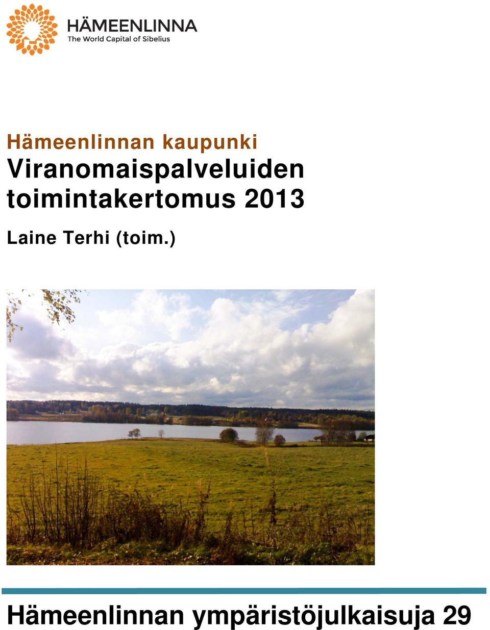 toimintakertomus 2013 Laine