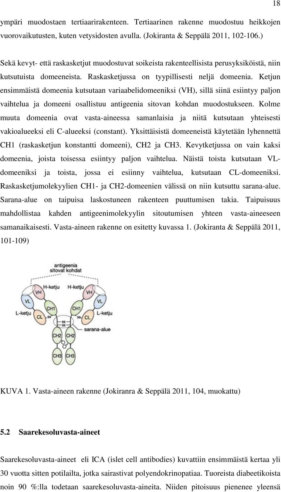 Ketjun ensimmäistä domeenia kutsutaan variaabelidomeeniksi (VH), sillä siinä esiintyy paljon vaihtelua ja domeeni osallistuu antigeenia sitovan kohdan muodostukseen.