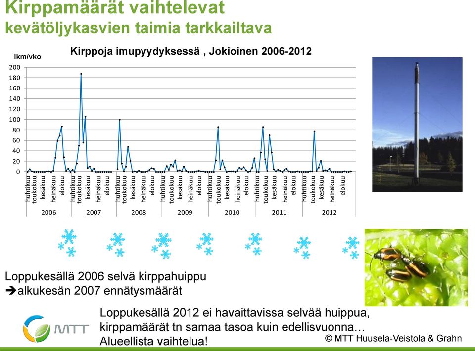 heinäkuu elokuu lkm/vko 200 180 160 140 120 100 80 60 40 20 0 Kirppoja imupyydyksessä, Jokioinen 2006-2012 2006 2007 2008 2009 2010 2011 2012 Loppukesällä 2006 selvä