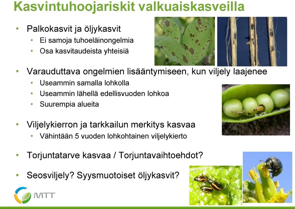 lohkolla Useammin lähellä edellisvuoden lohkoa Suurempia alueita Viljelykierron ja tarkkailun merkitys