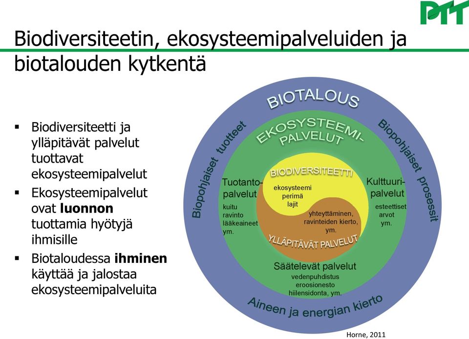 ekosysteemipalvelut Ekosysteemipalvelut ovat luonnon tuottamia