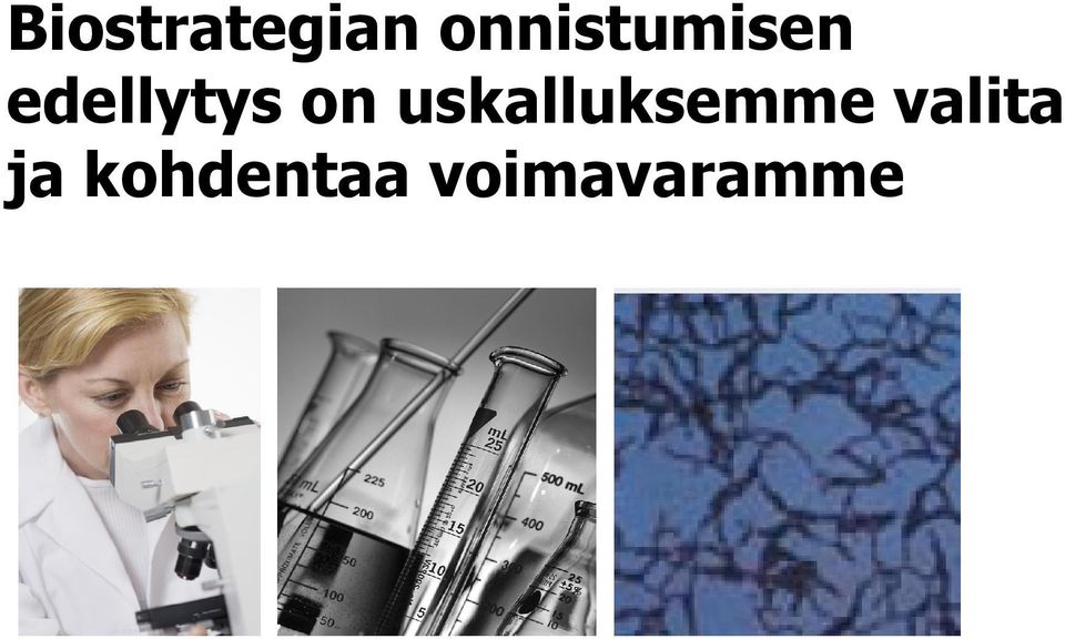 edellytys on