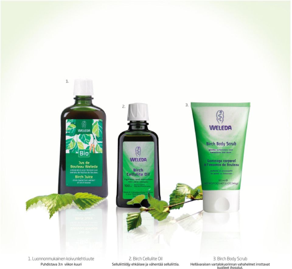 Birch Cellulite Oil Selluliittiöljy ehkäisee ja vähentää