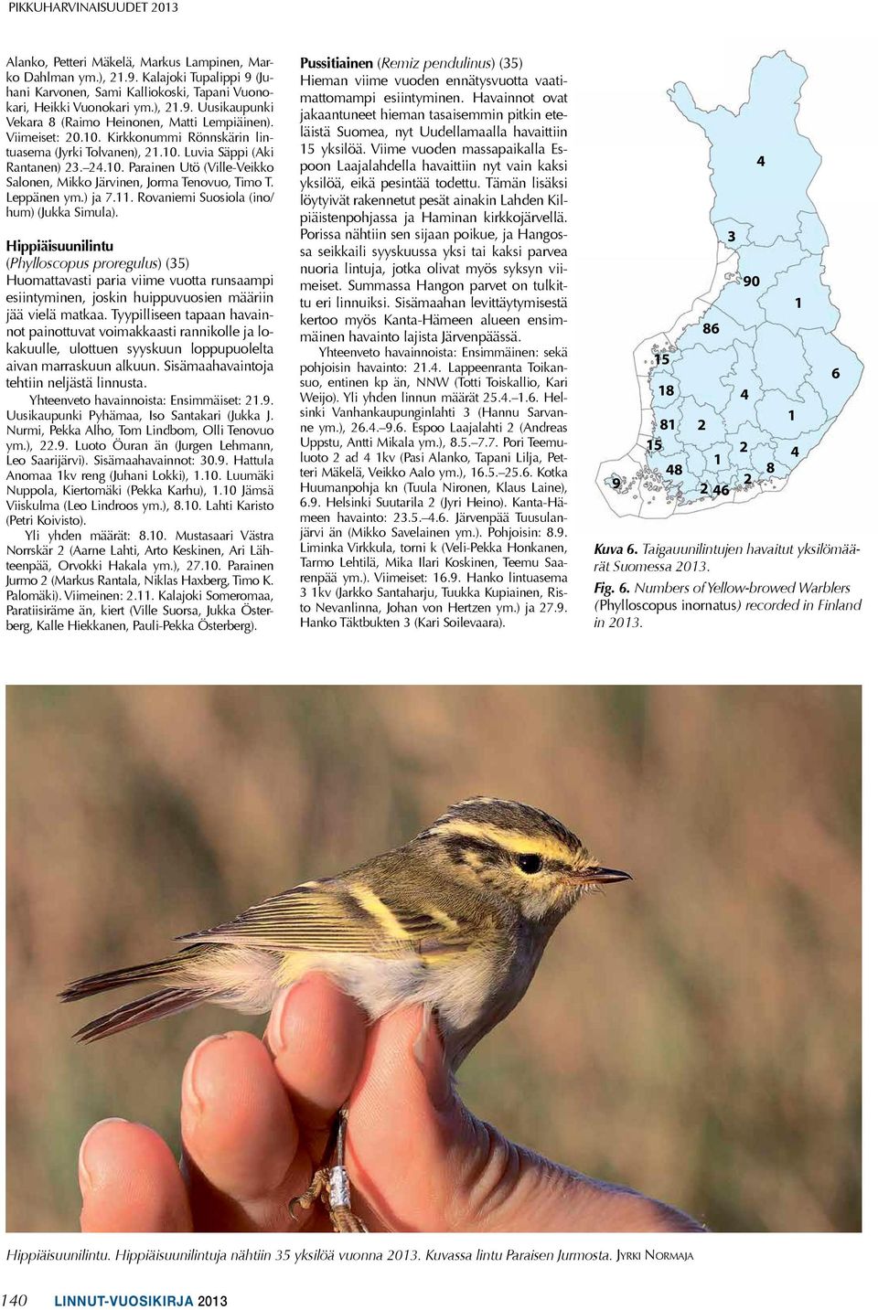 . rovaniemi suosiola (ino/ hum) (Jukka simula). Hippiäisuunilintu (Phylloscopus proregulus) (5) Huomattavasti paria viime vuotta runsaampi esiintyminen, joskin huippuvuosien määriin jää vielä matkaa.