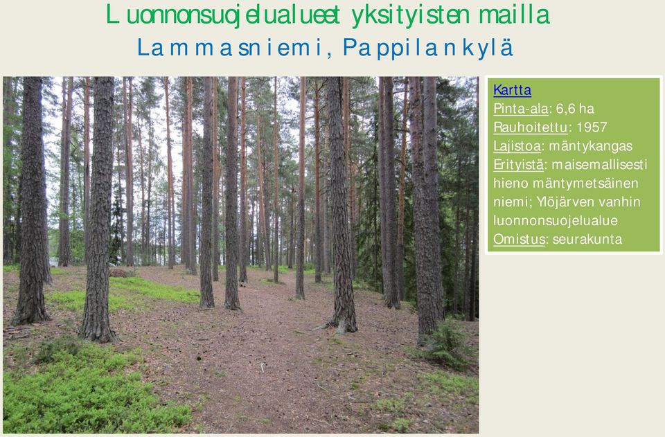 Erityistä: maisemallisesti hieno mäntymetsäinen