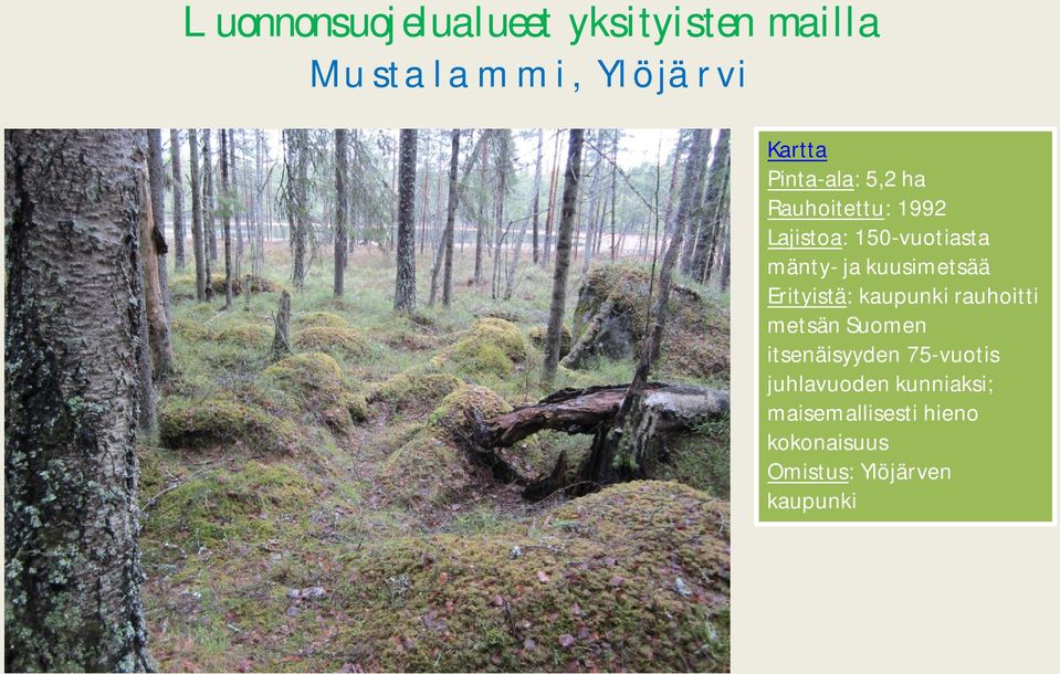 kaupunki rauhoitti metsän Suomen itsenäisyyden 75-vuotis