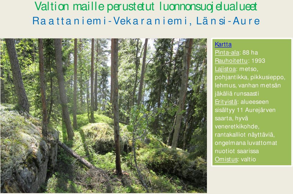 vanhan metsän jäkäliä runsaasti Erityistä: alueeseen sisältyy 11 Aurejärven saarta,