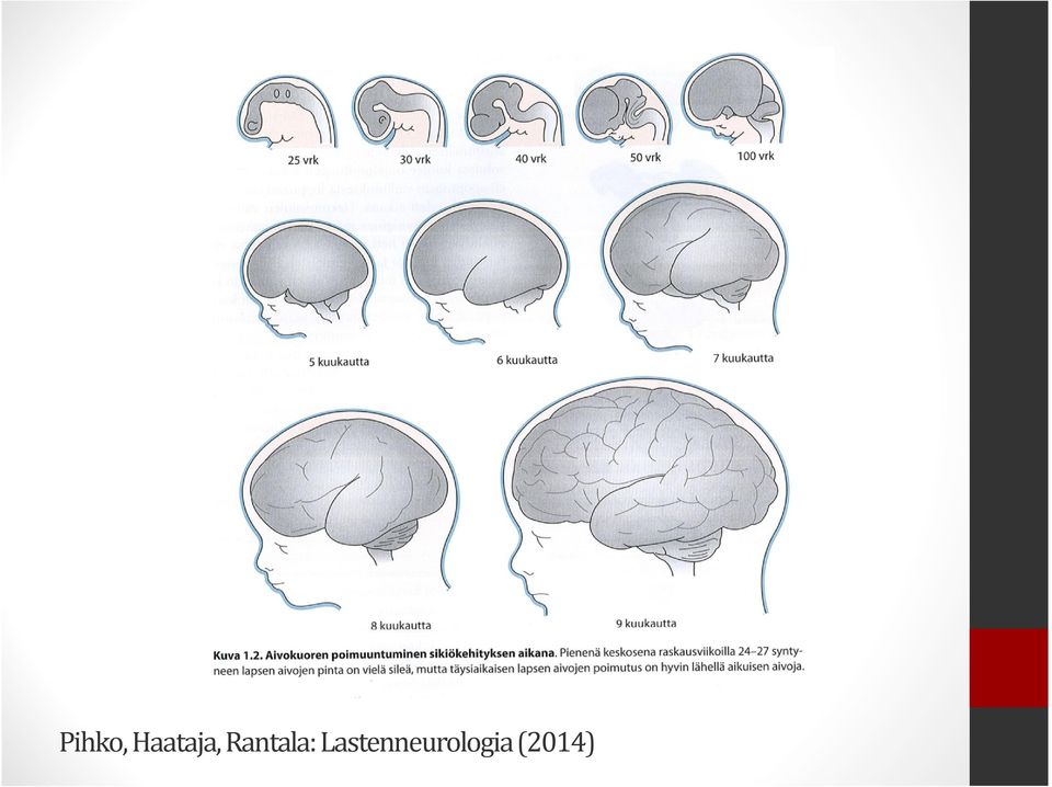 Rantala: