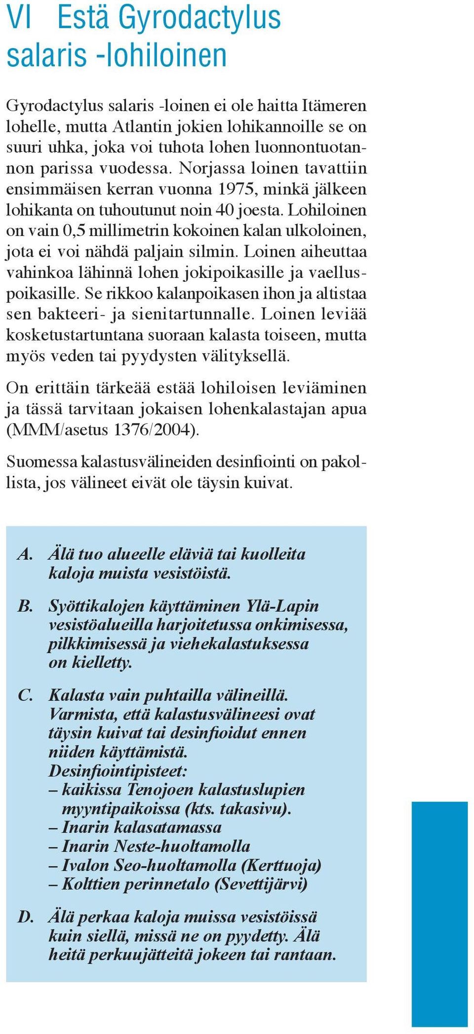 Lohiloinen on vain 0,5 millimetrin kokoinen kalan ulkoloinen, jota ei voi nähdä paljain silmin. Loinen aiheuttaa vahinkoa lähinnä lohen jokipoikasille ja vaelluspoikasille.