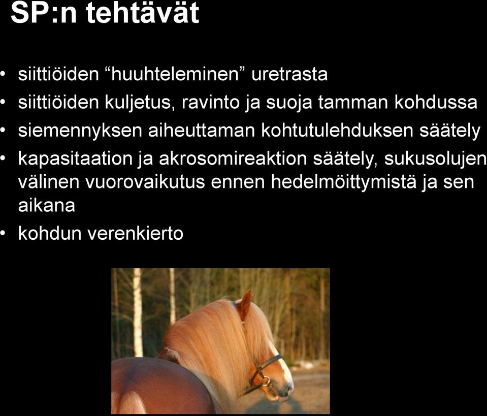 kohtutulehduksen säätely kapasitaation ja akrosomireaktion säätely,