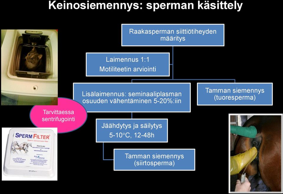 osuuden vähentäminen 5-20%:iin Tamman siemennys (tuoresperma) Tarvittaessa