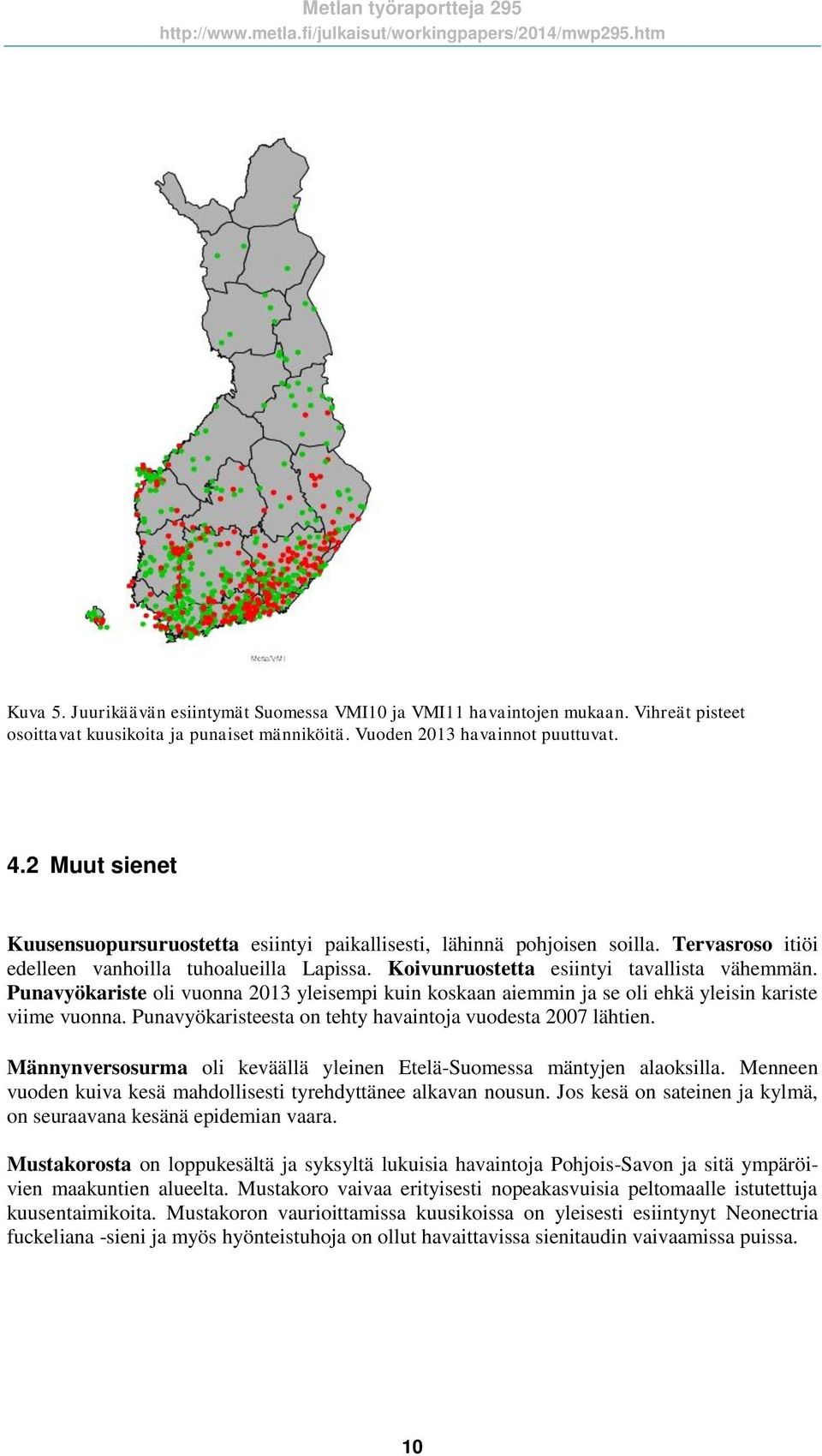 Punavyökariste oli vuonna 2013 yleisempi kuin koskaan aiemmin ja se oli ehkä yleisin kariste viime vuonna. Punavyökaristeesta on tehty havaintoja vuodesta 2007 lähtien.