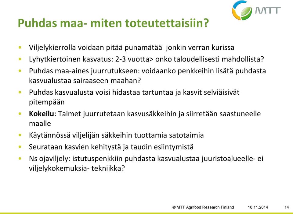 Puhdas kasvualusta voisi hidastaa tartuntaa ja kasvit selviäisivät pitempään Kokeilu: Taimet juurrutetaan kasvusäkkeihin ja siirretään saastuneelle maalle Käytännössä