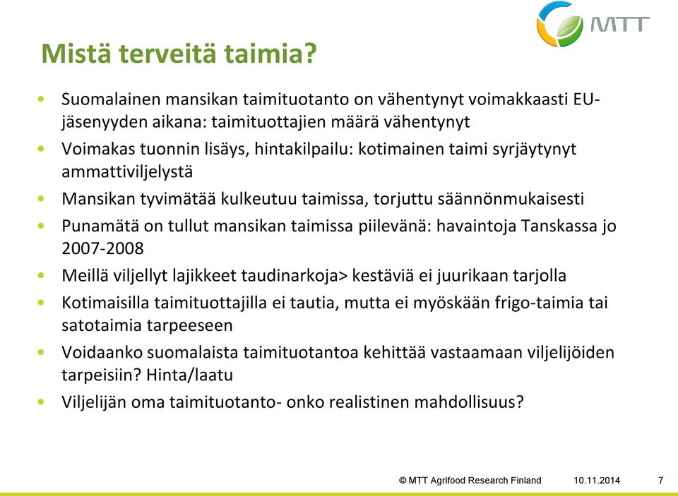 ammattiviljelystä Mansikan tyvimätää kulkeutuu taimissa, torjuttu säännönmukaisesti Punamätä on tullut mansikan taimissa piilevänä: havaintoja Tanskassa jo 2007-2008 Meillä viljellyt