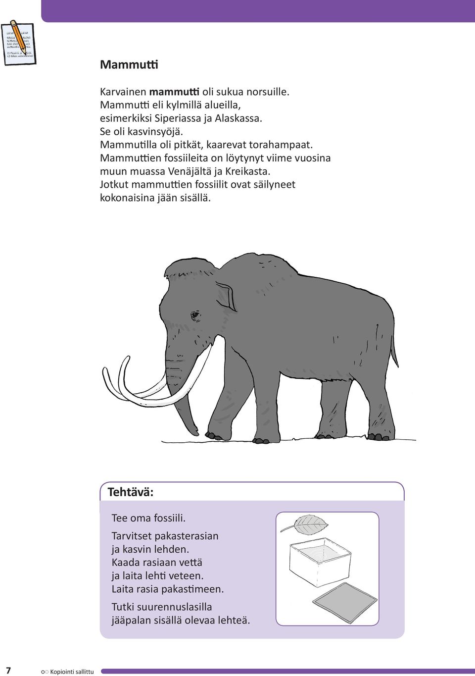 Jotkut mammuttien fossiilit ovat säilyneet kokonaisina jään sisällä. Tehtävä: Tee oma fossiili. Tarvitset pakasterasian ja kasvin lehden.