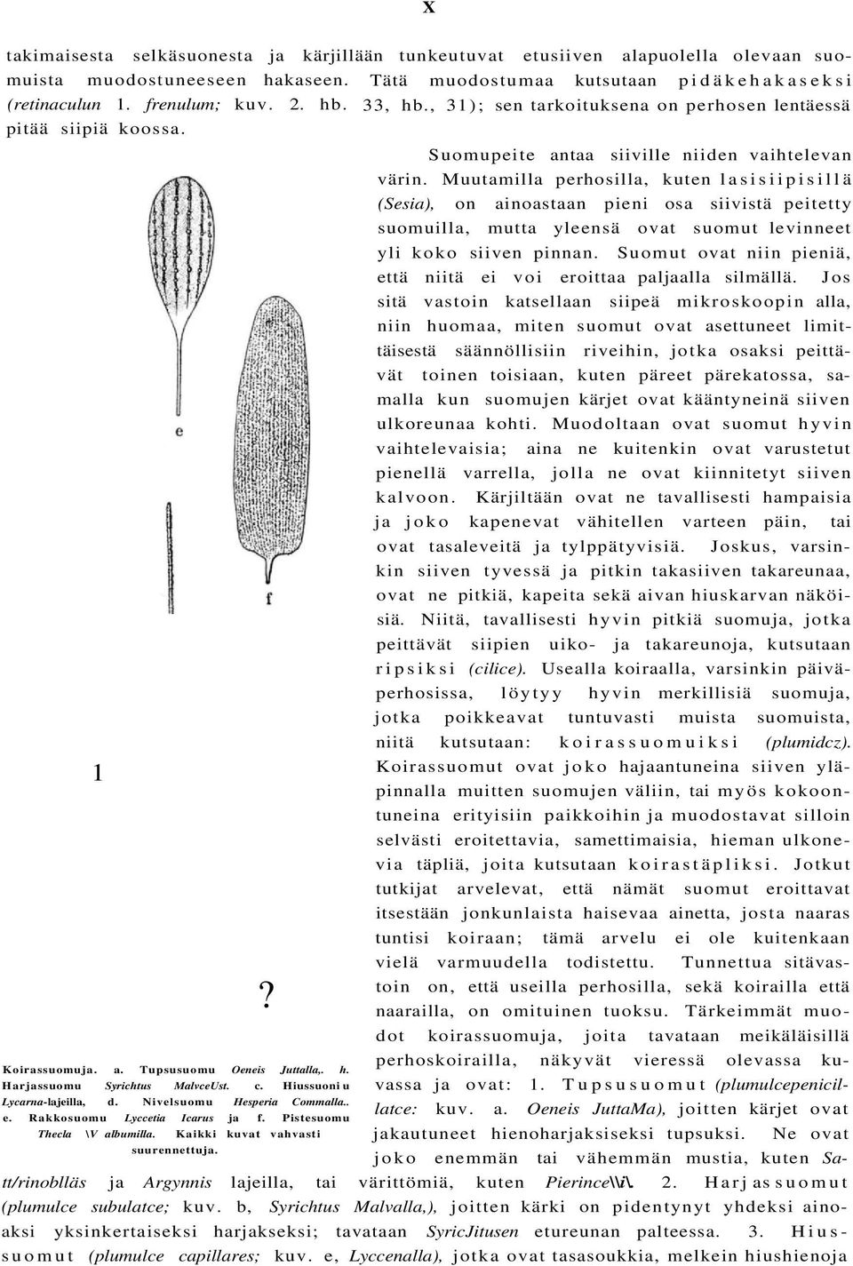 Muutamilla perhosilla, kuten lasisiipisillä (Sesia), on ainoastaan pieni osa siivistä peitetty suomuilla, mutta yleensä ovat suomut levinneet yli koko siiven pinnan.