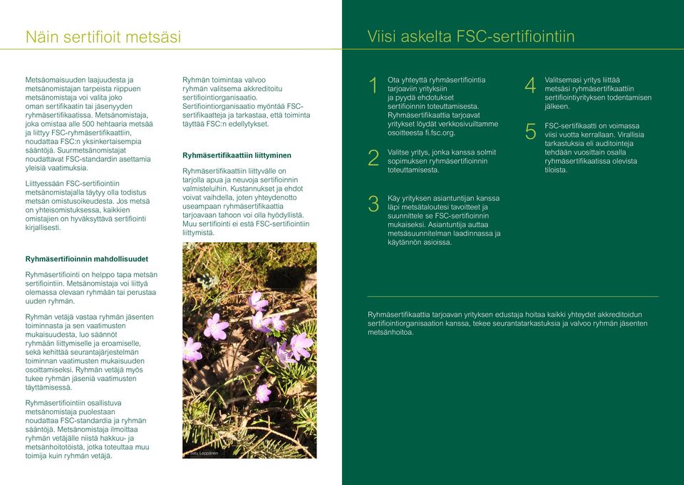 Suurmetsänomistajat noudattavat FSC-standardin asettamia yleisiä vaatimuksia. Liittyessään FSC-sertifiointiin metsänomistajalla täytyy olla todistus metsän omistusoikeudesta.