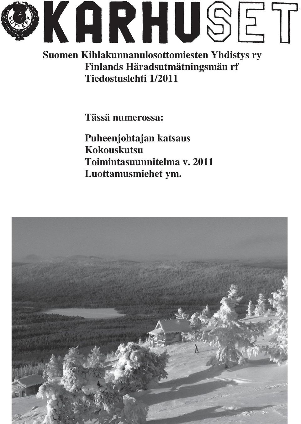 1/2011 Tässä numerossa: Puheenjohtajan katsaus