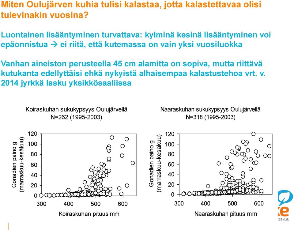 cm alamitta on sopiva, mutta riittävä kutukanta edellyttäisi ehkä nykyistä alhaisempaa kalastustehoa vr