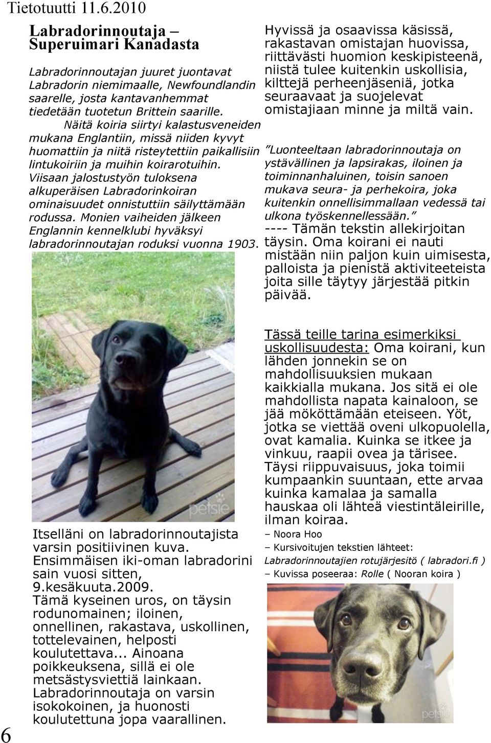 Viisaan jalostustyön tuloksena alkuperäisen Labradorinkoiran ominaisuudet onnistuttiin säilyttämään rodussa.