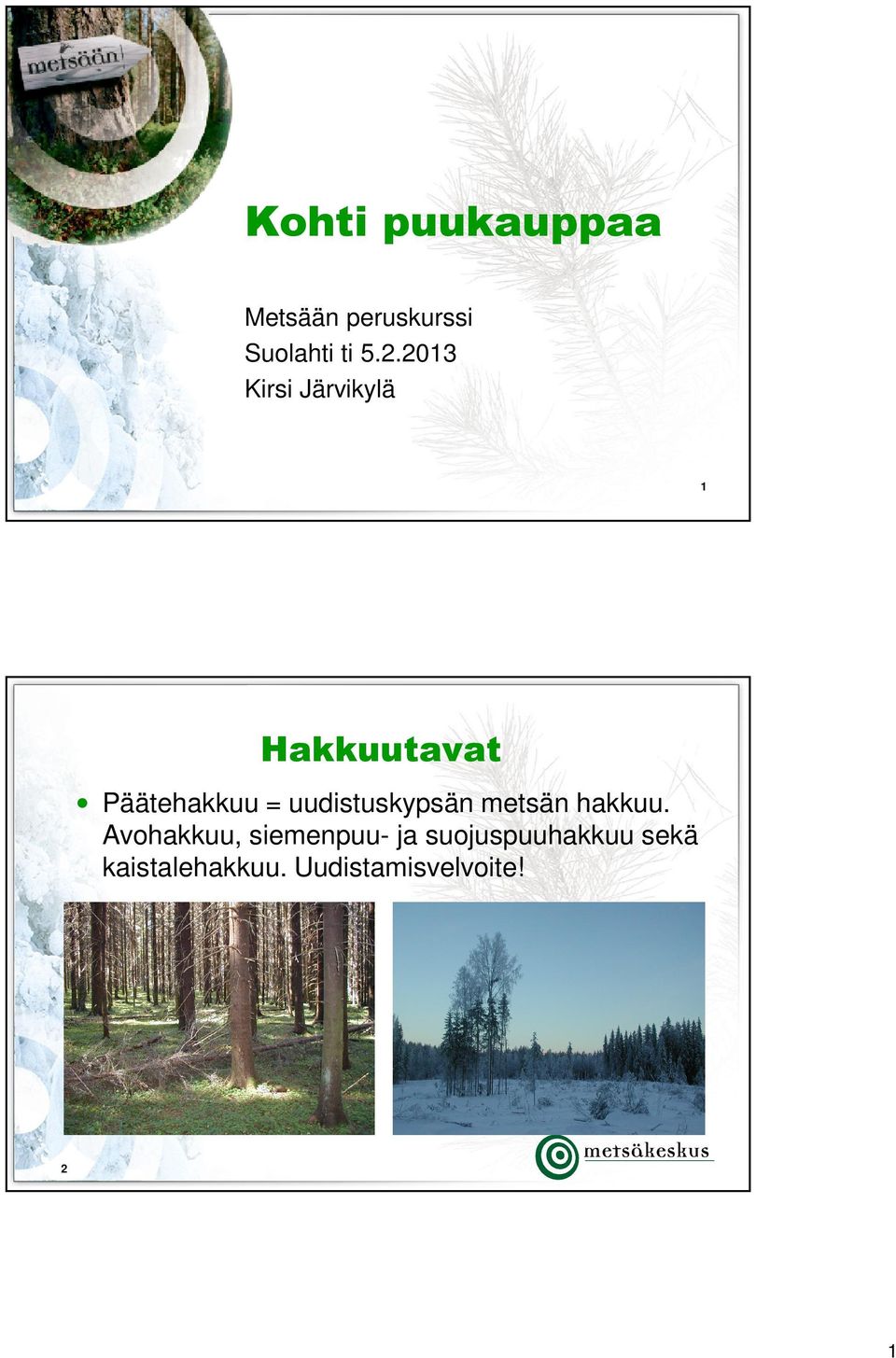 uudistuskypsän metsän hakkuu.