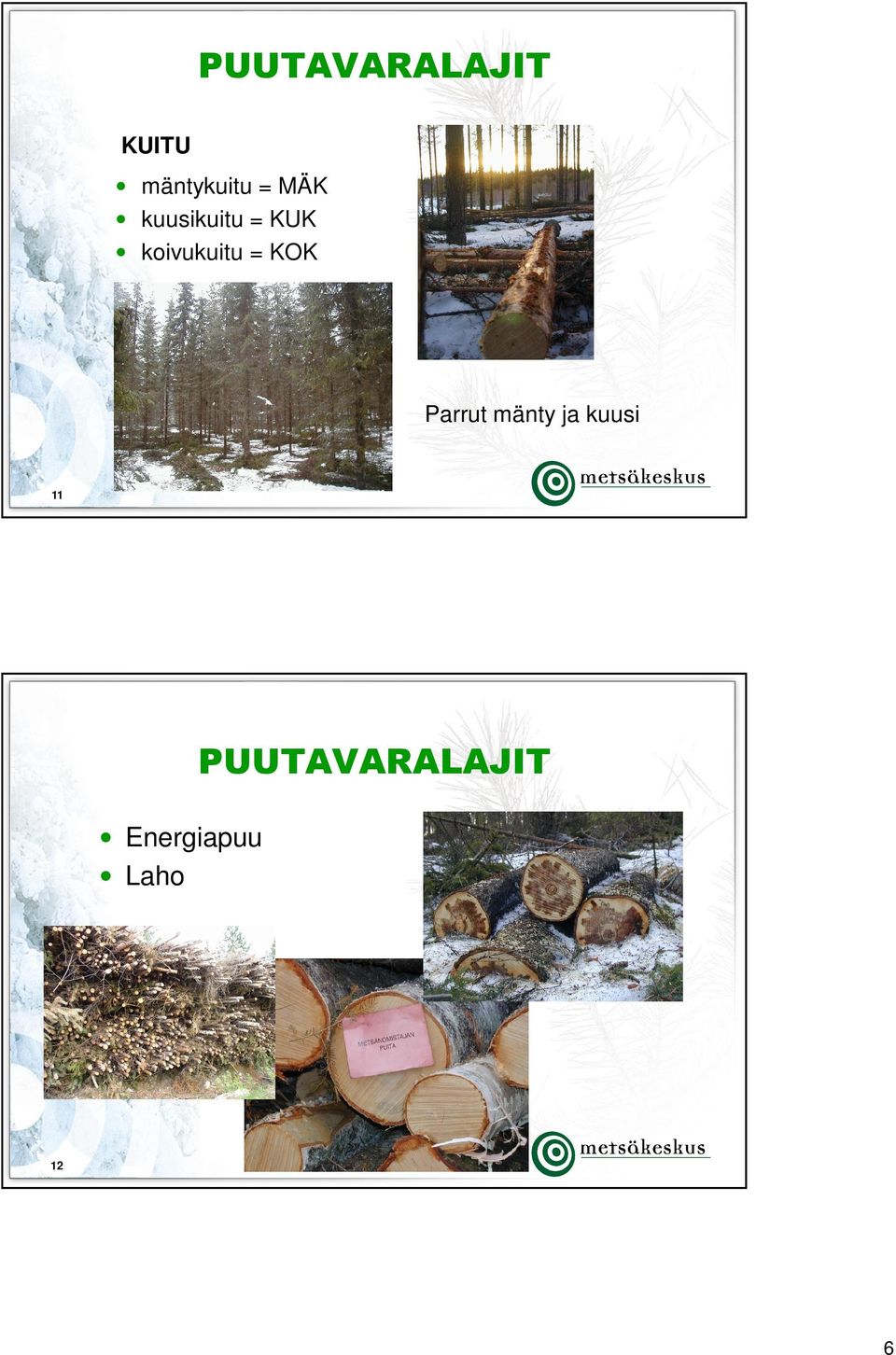 koivukuitu = KOK Parrut mänty ja