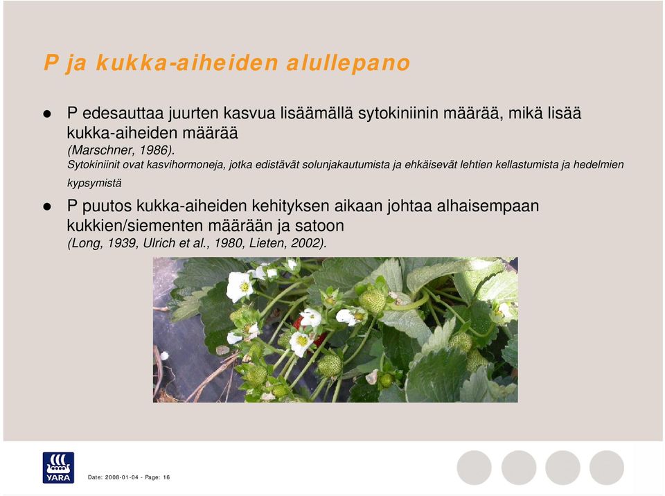 Sytokiniinit ovat kasvihormoneja, jotka edistävät solunjakautumista ja ehkäisevät lehtien kellastumista ja