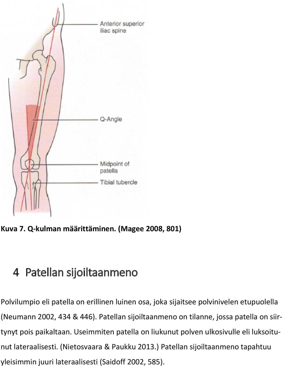 polvinivelen etupuolella (Neumann 2002, 434 & 446).