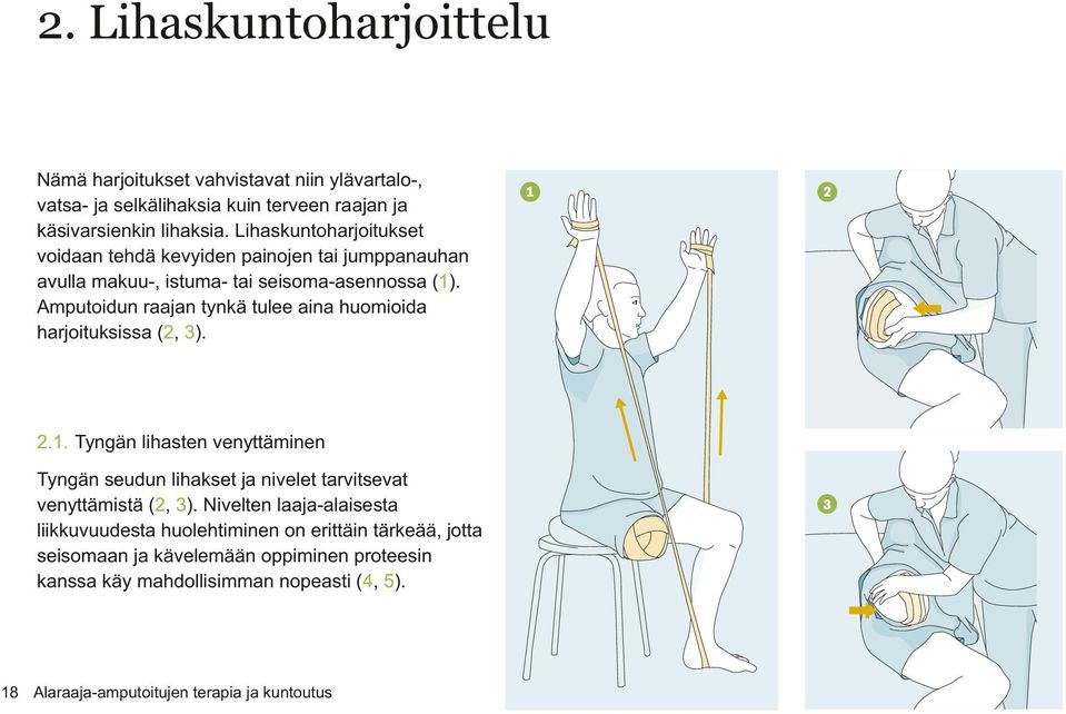 Amputoidun raajan tynkä tulee aina huomioida harjoituksissa (2, 3). 2.1.