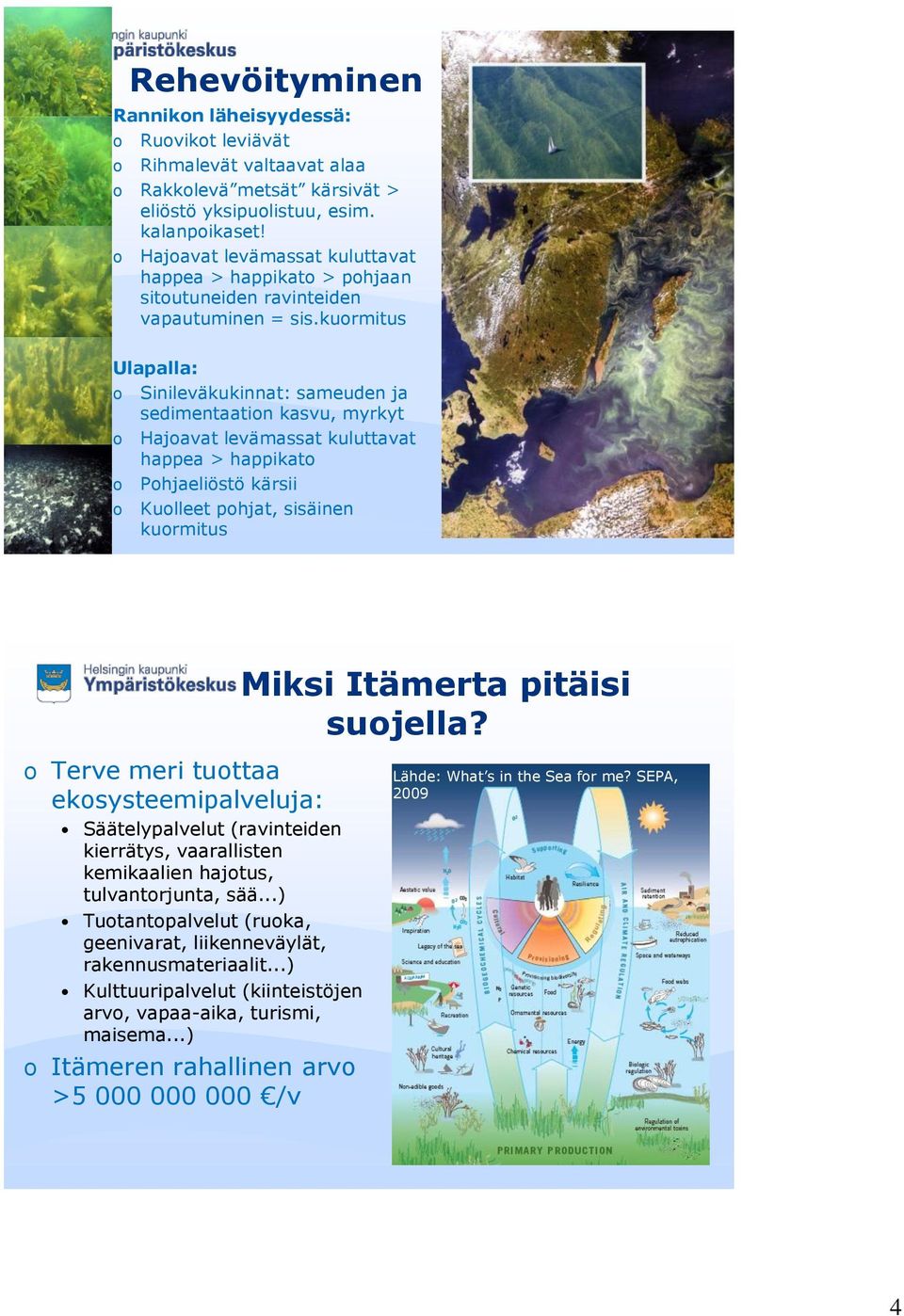 kuormitus Ulapalla: o Sinileväkukinnat: sameuden ja sedimentaation kasvu, myrkyt o Hajoavat levämassat kuluttavat happea > happikato o Pohjaeliöstö kärsii o Kuolleet pohjat, sisäinen kuormitus Miksi