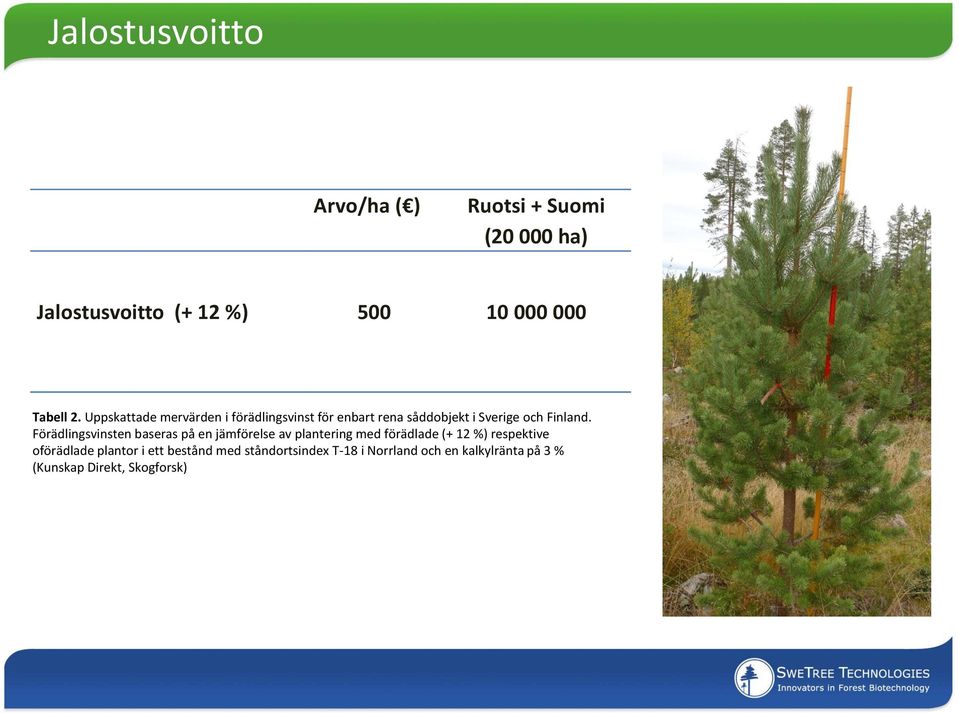 Förädlingsvinsten baseras på en jämförelse av plantering med förädlade (+ 12 %) respektive oförädlade