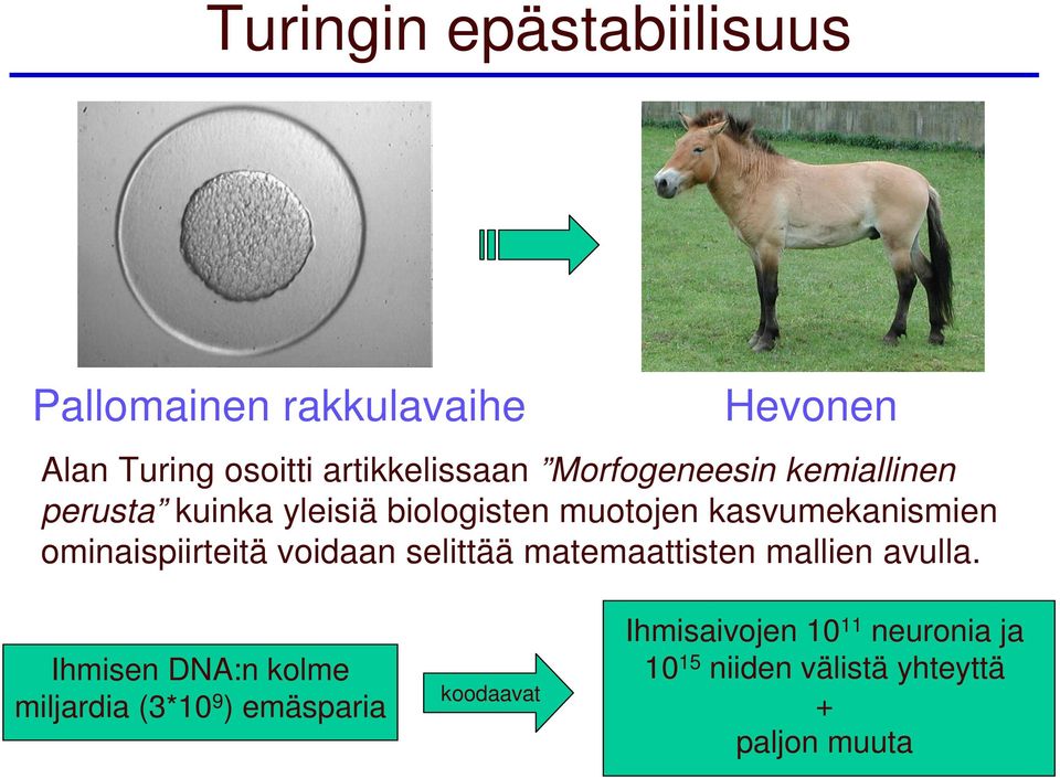 ominaispiirteitä voidaan selittää matemaattisten mallien avulla.