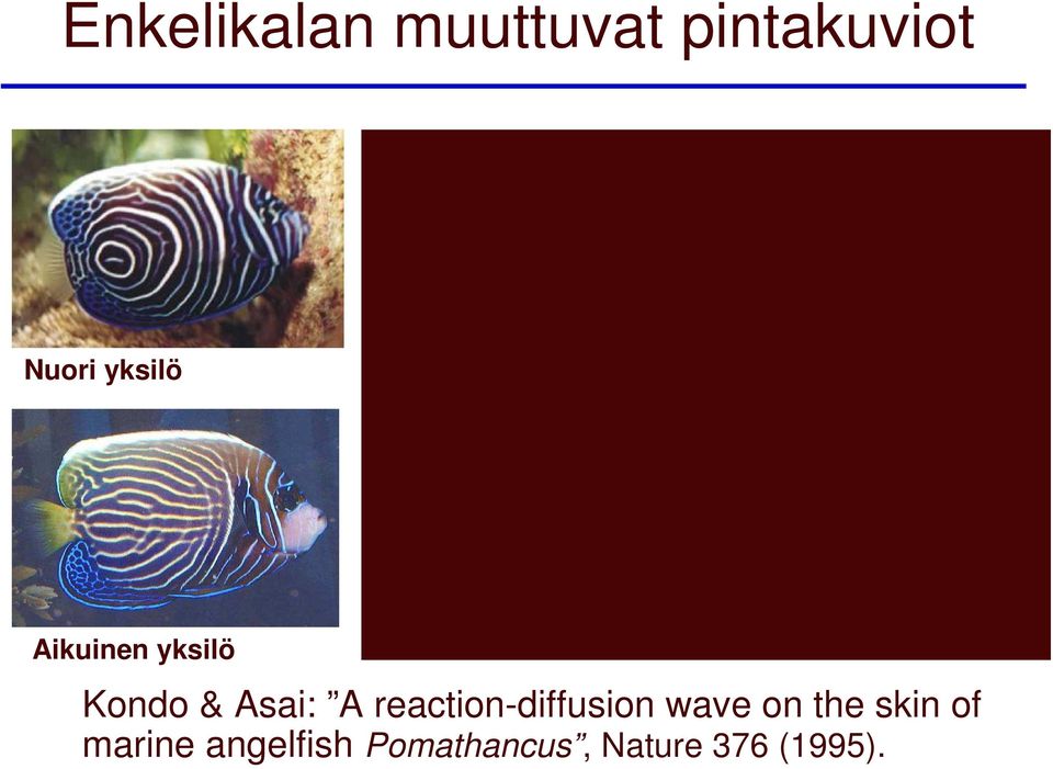 reaction-diffusion wave on the skin of