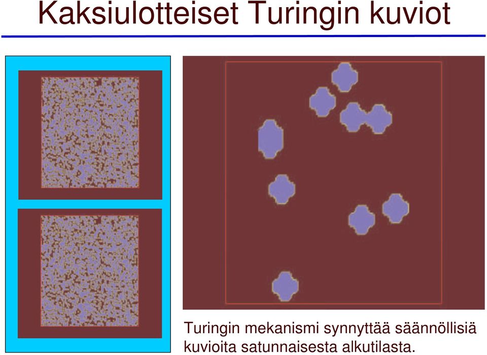 synnyttää säännöllisiä