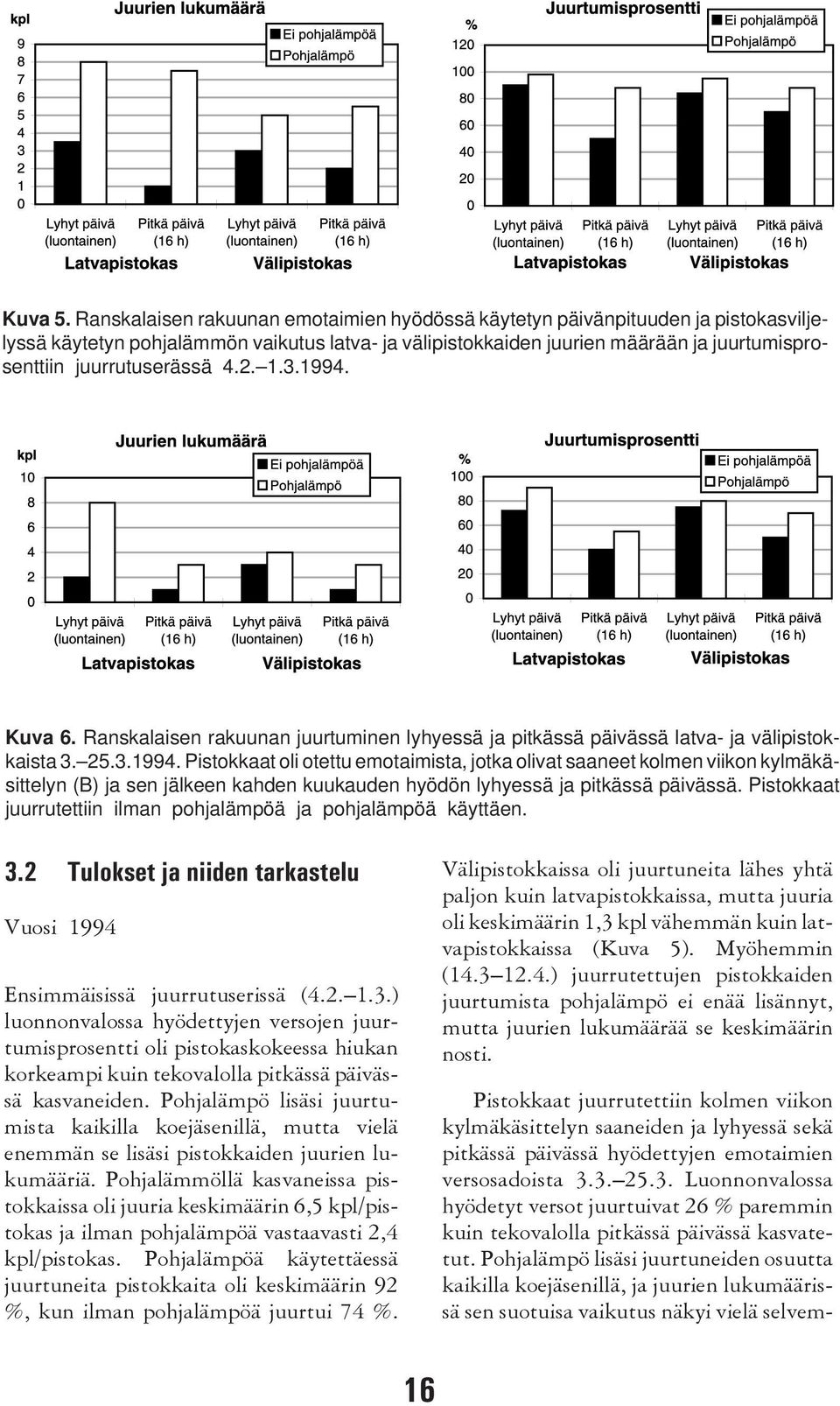 juurrutuserässä 4.2. 1.3.1994. Kuva 6. Ranskalaisen rakuunan juurtuminen lyhyessä ja pitkässä päivässä latva- ja välipistokkaista 3. 25.3.1994. Pistokkaat oli otettu emotaimista, jotka olivat saaneet kolmen viikon kylmäkäsittelyn (B) ja sen jälkeen kahden kuukauden hyödön lyhyessä ja pitkässä päivässä.