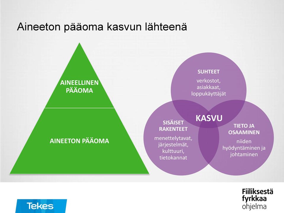 SISÄISET RAKENTEET menettelytavat, järjestelmät, kulttuuri,