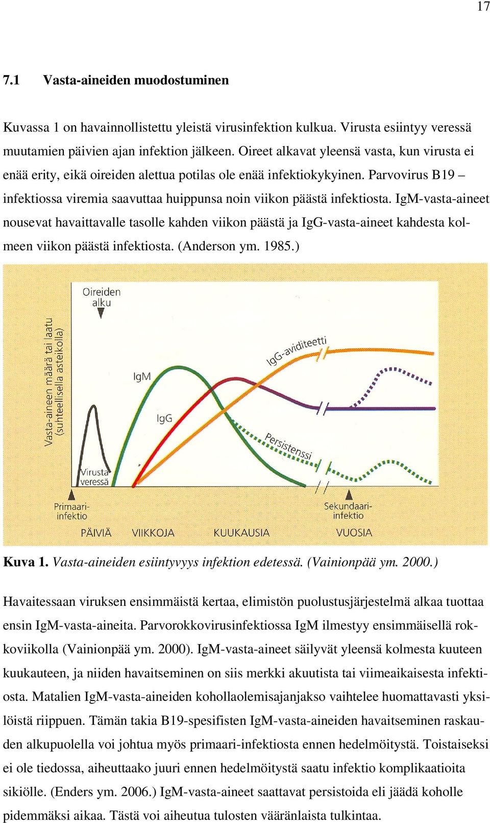 IgM-vasta-aineet nousevat havaittavalle tasolle kahden viikon päästä ja IgG-vasta-aineet kahdesta kolmeen viikon päästä infektiosta. (Anderson ym. 1985.) Kuva 1.