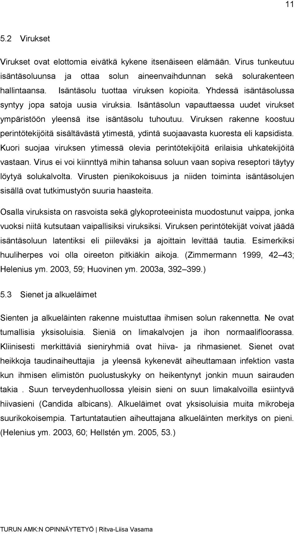 Viruksen rakenne koostuu perintötekijöitä sisältävästä ytimestä, ydintä suojaavasta kuoresta eli kapsidista. Kuori suojaa viruksen ytimessä olevia perintötekijöitä erilaisia uhkatekijöitä vastaan.