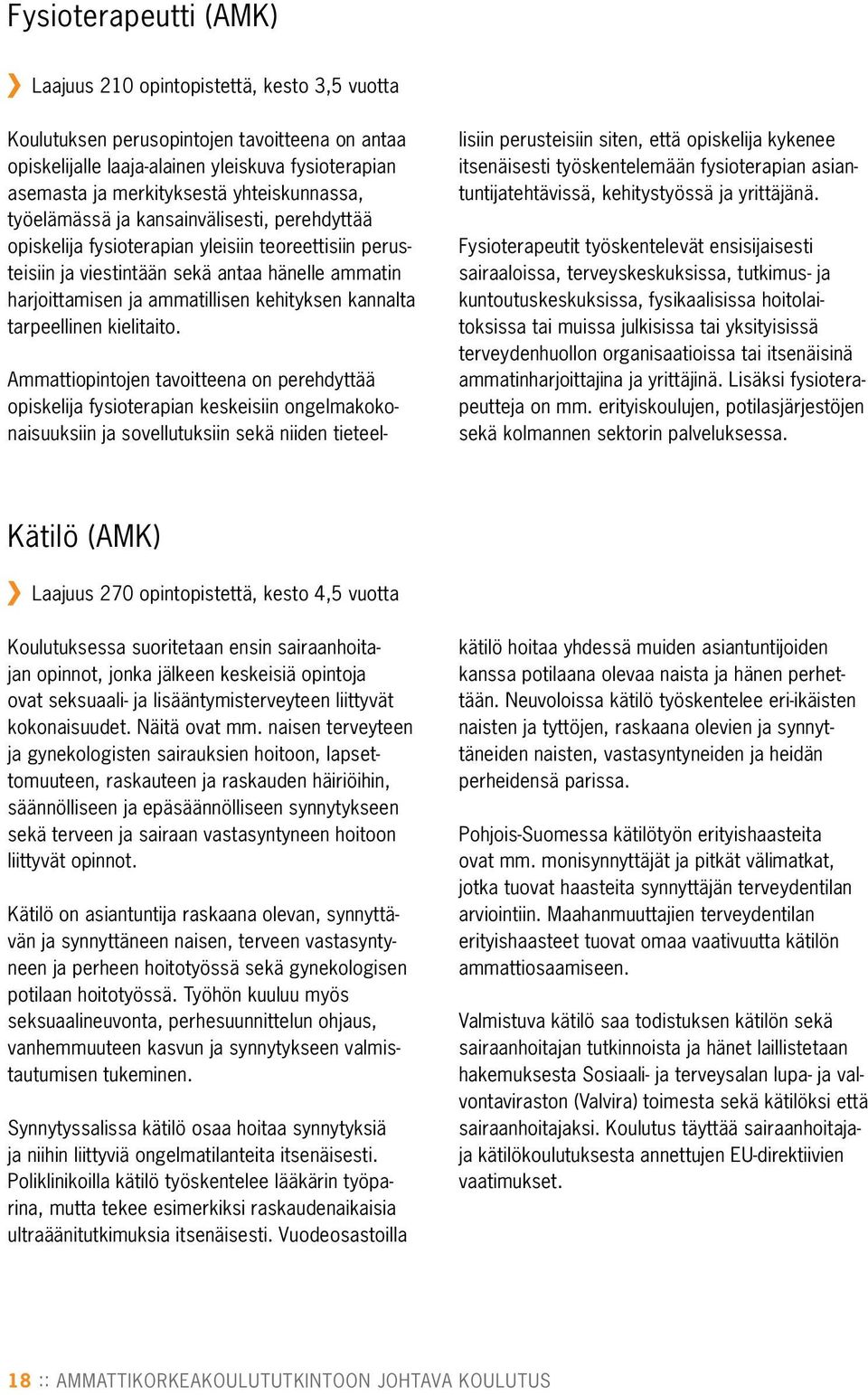 kehityksen kannalta tarpeellinen kielitaito.
