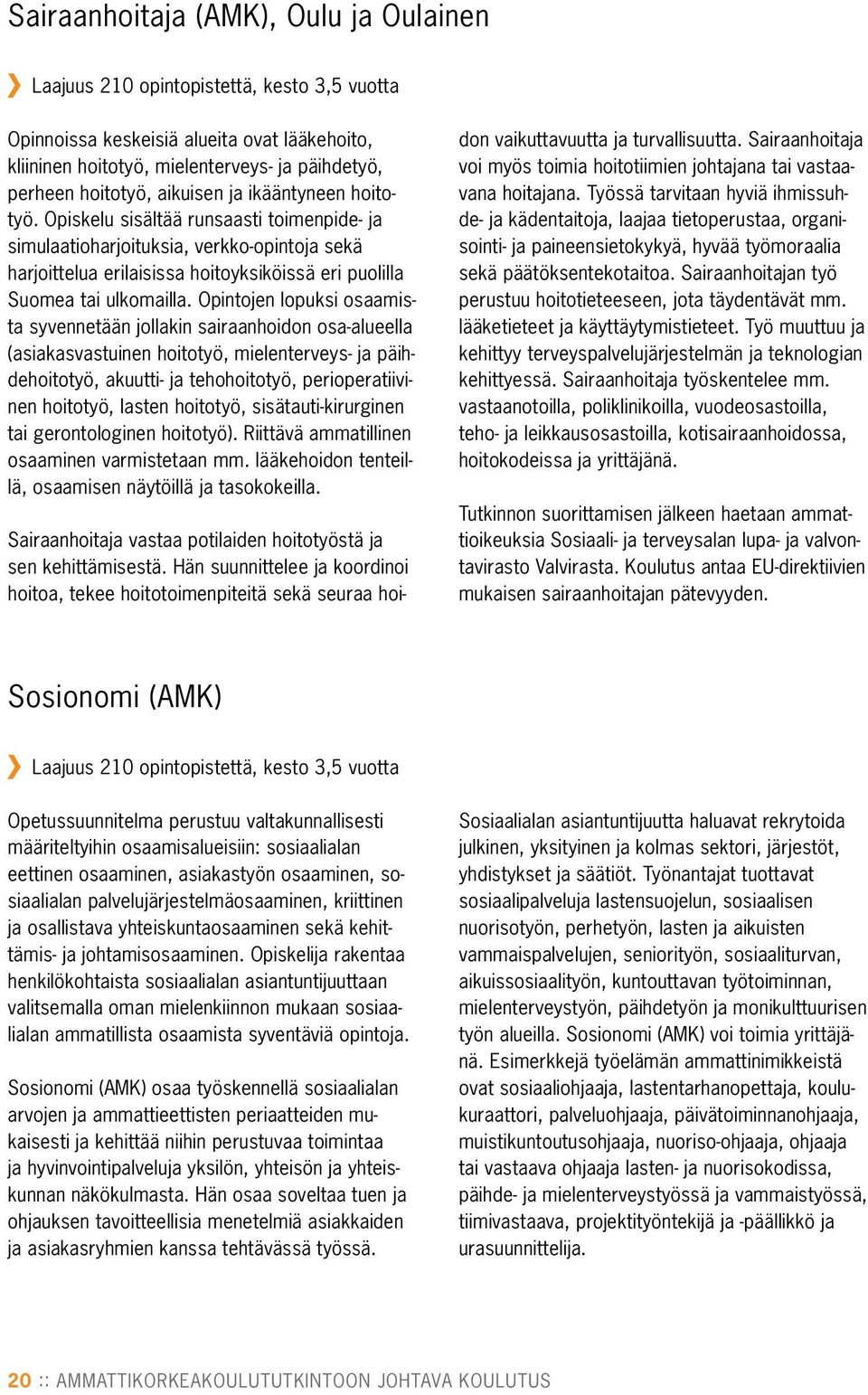 Opintojen lopuksi osaamista syvennetään jollakin sairaanhoidon osa-alueella (asiakasvastuinen hoitotyö, mielenterveys- ja päihdehoitotyö, akuutti- ja tehohoitotyö, perioperatiivinen hoitotyö, lasten
