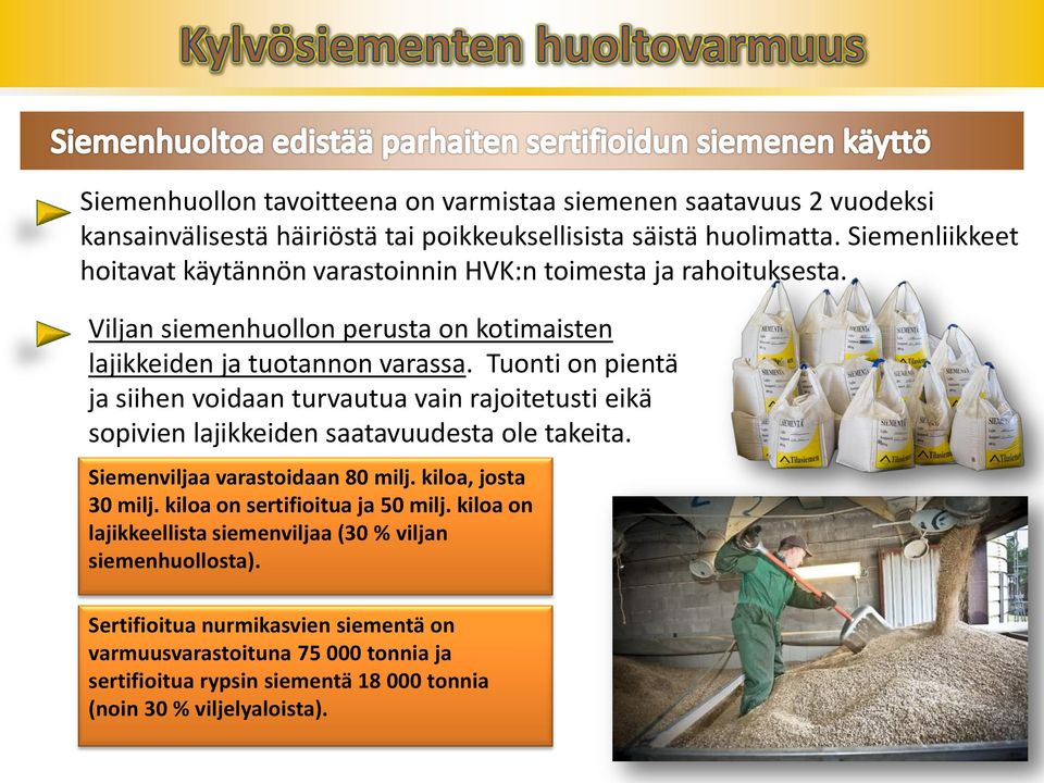 Tuonti on pientä ja siihen voidaan turvautua vain rajoitetusti eikä sopivien lajikkeiden saatavuudesta ole takeita. Siemenviljaa varastoidaan 80 milj. kiloa, josta 30 milj.