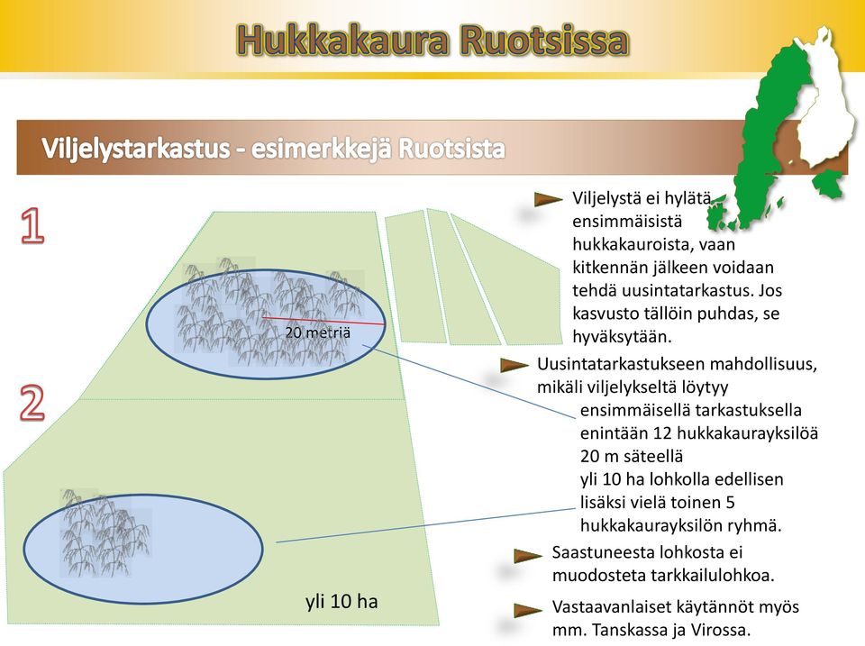 Uusintatarkastukseen mahdollisuus, mikäli viljelykseltä löytyy ensimmäisellä tarkastuksella enintään 12 hukkakaurayksilöä