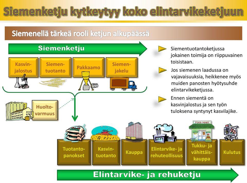 Jos siemenen laadussa on vajavaisuuksia, heikkenee myös muiden panosten hyötysuhde elintarvikeketjussa.